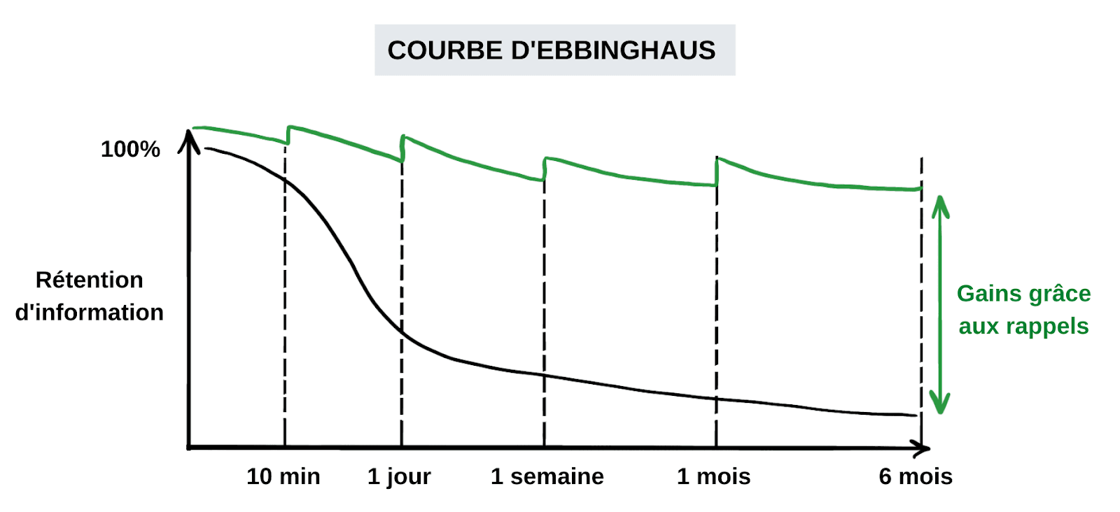 Courbe d'Ebbinghaus : la rétention d'information chute rapidement après l'apprentissage, mais chaque rappel relance et ralentit l'oubli